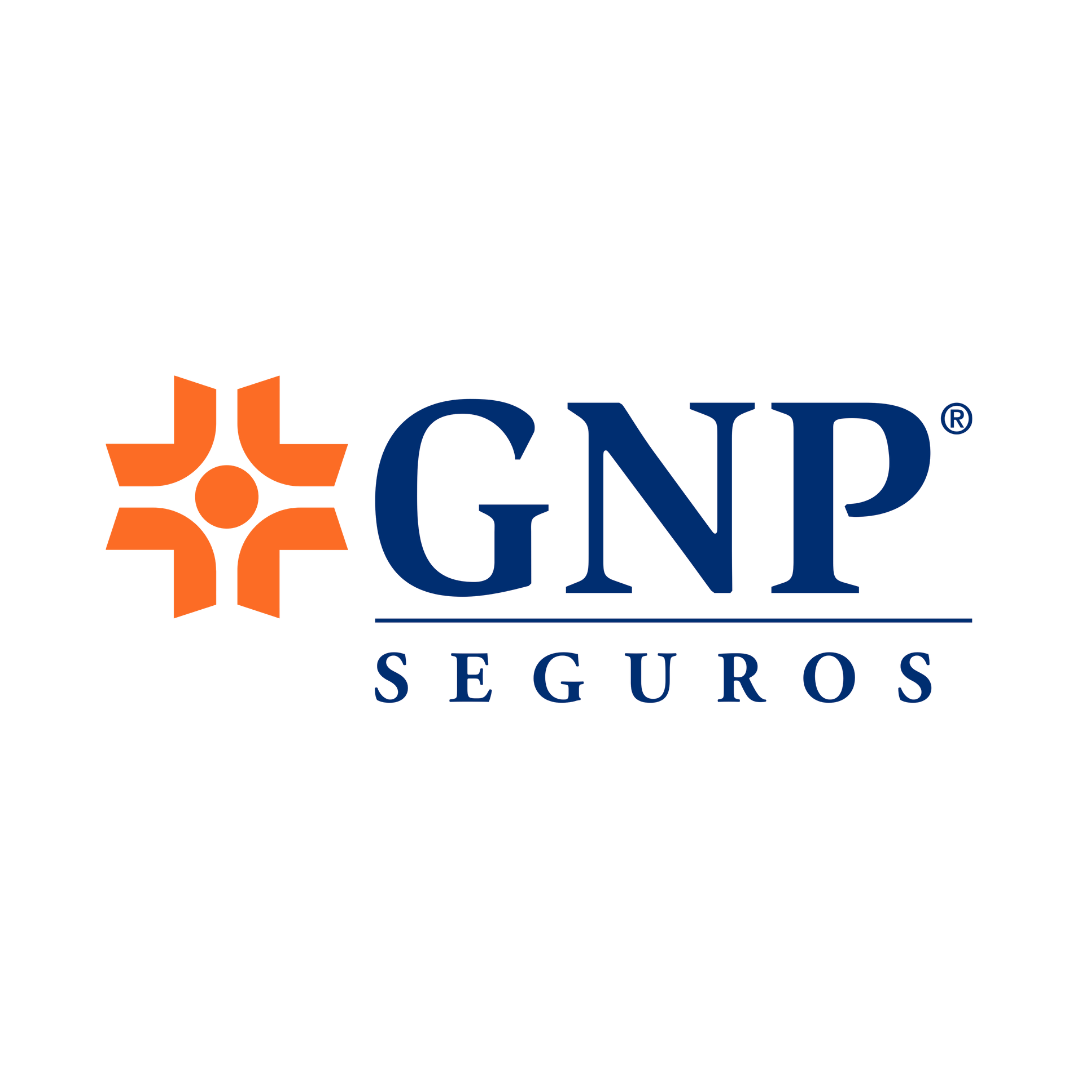 Cliente 33